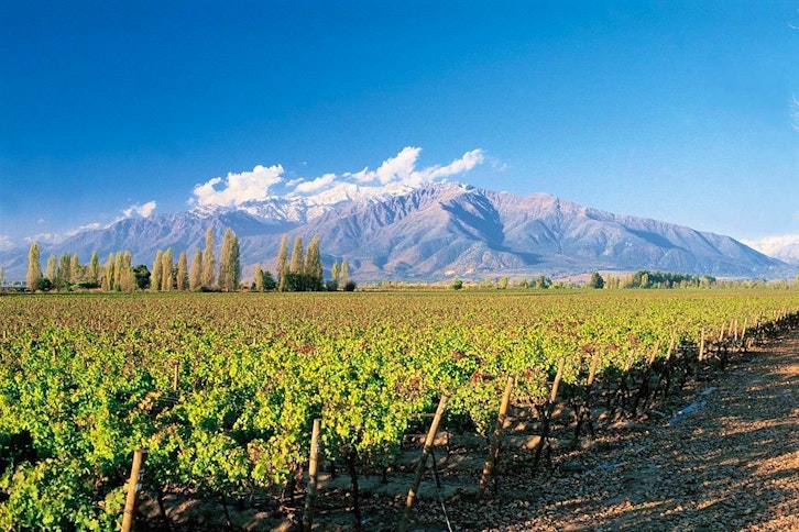 Cousino Macul and Concha y Toro Winery 1