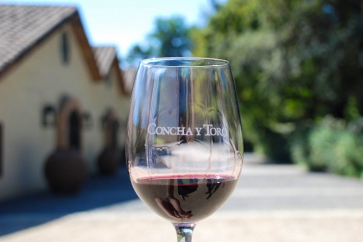 Cousino Macul and Concha y Toro Winery 2