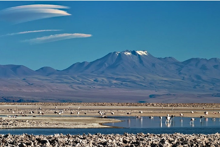 Atacama Salt Lake & Toconao Village 1