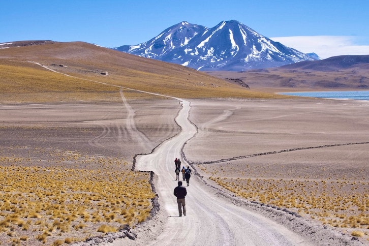 Altiplanic Lagoons, Atacama Salt Flats & Toconao Village 1