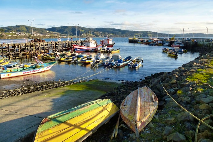 Ancud and Penguin Colony 2