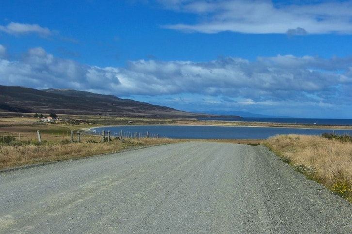 King Penguin Park at Useless Bay 2