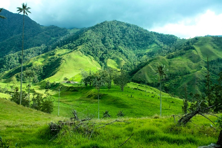 Half Day Coffee Tour 4