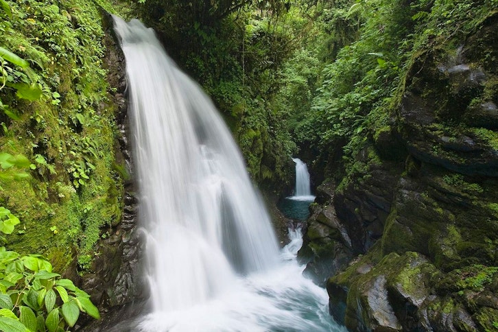 Doka, Poas & La Paz Waterfall Gardens 2