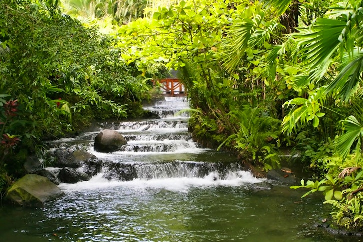 Arenal Volcano Hike & Tabacon Hot Springs 1
