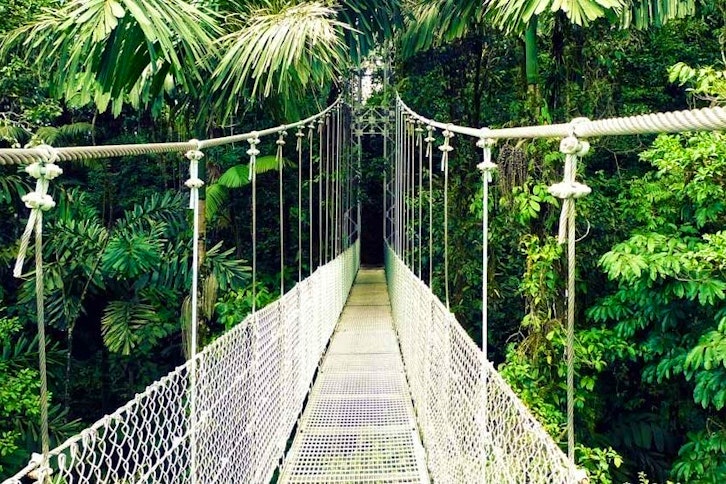 Arenal Hanging Bridges 1