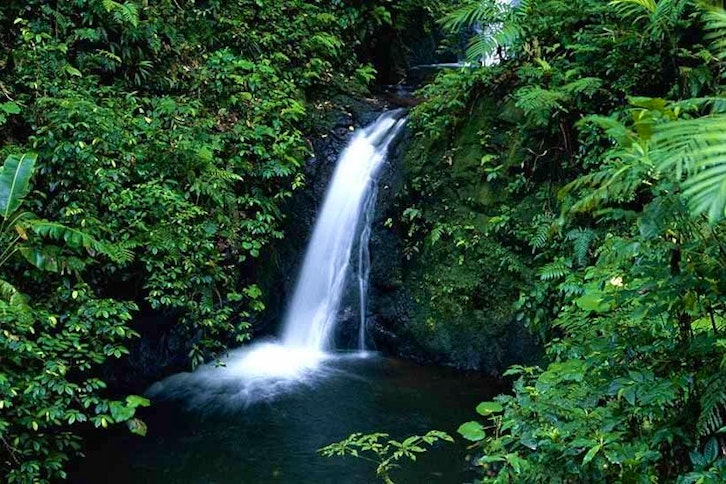 Monteverde Reserve 2