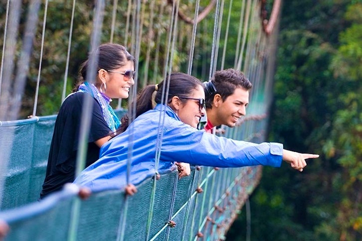 Selvatura Canopy and Walkways 1
