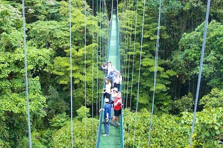 Selvatura Canopy and Walkways 2