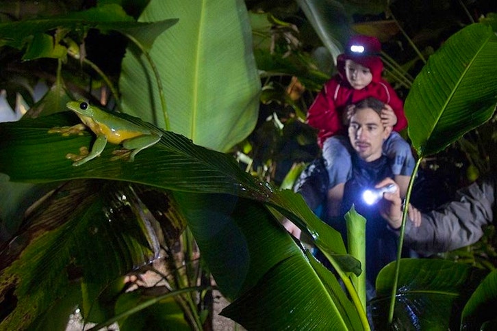 Monteverde Night Tour (Hidden Valley) 1