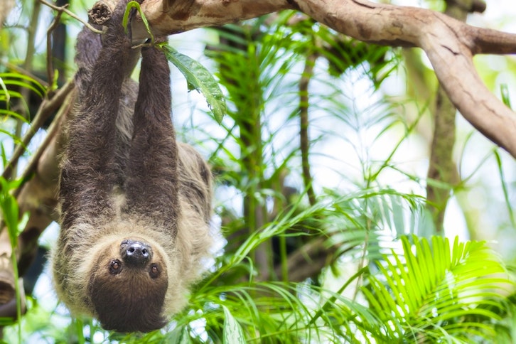 Manuel Antonio National Park 2