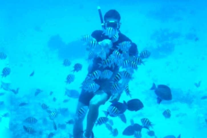 Ocean Kayaking and Snorkelling 2