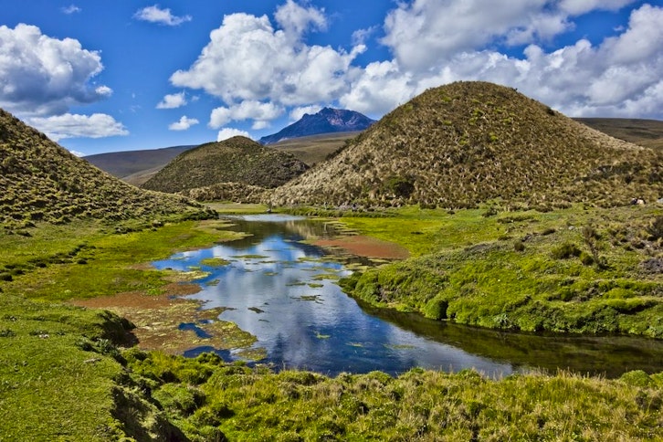 Cotopaxi National Park 2