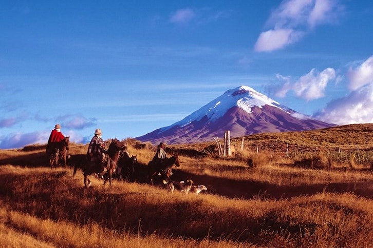 Cotopaxi National Park & Indigenous Markets 1