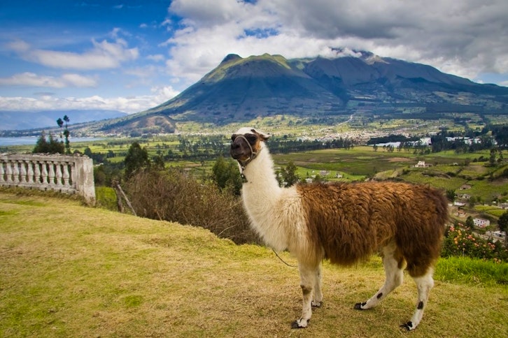 Otavalo City Tour & Market 3