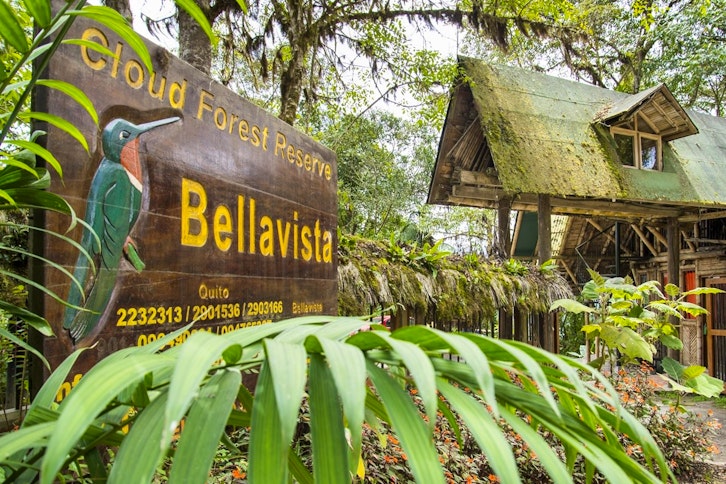 Bellavista Cloudforest 3