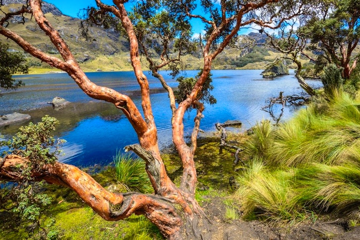 Overland from Cuenca to Guayaquil via Las Cajas National Park 1