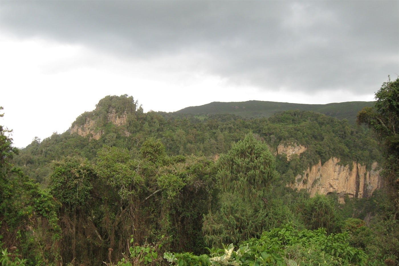 Dinsho visit Bale Mountains 6