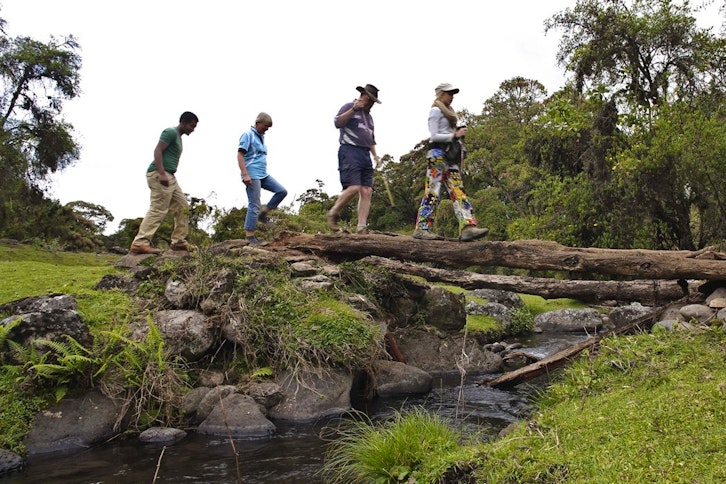 Harenna Forest visit 1