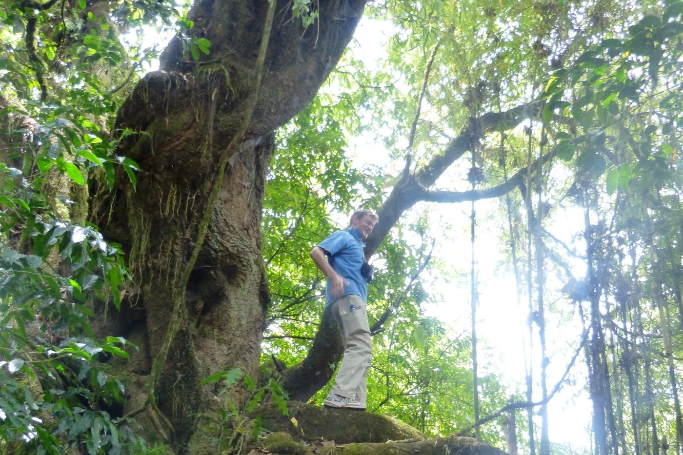 Harenna Forest visit 4