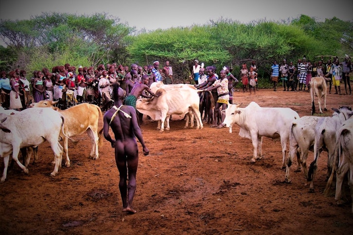 Turmi region - Hamar bull-jumping event 1