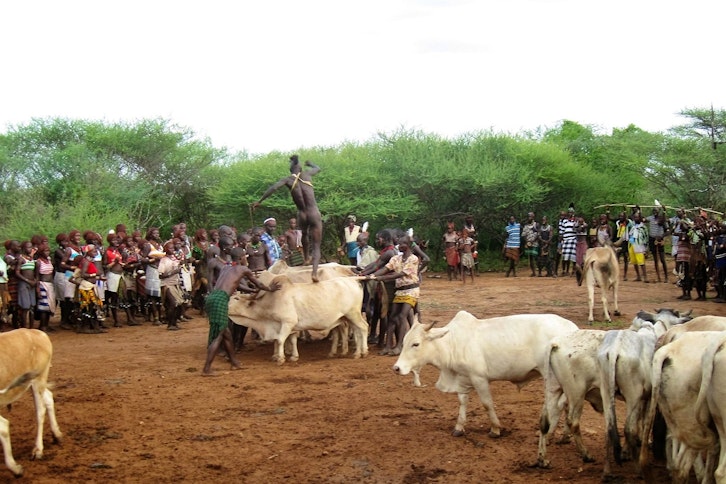 Turmi region - Hamar bull-jumping event 6