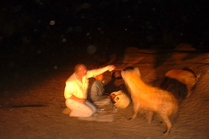 Harar - Hyena-feeding attendance 1
