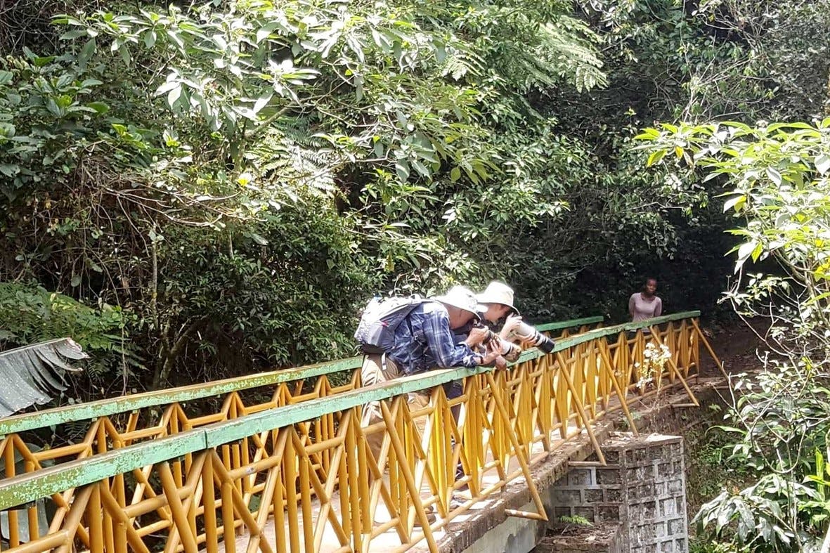 Ranomafana guided rainforest walk 5