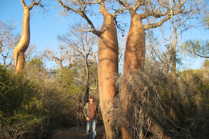 Guided Spiny Forest bird and botany walk 1
