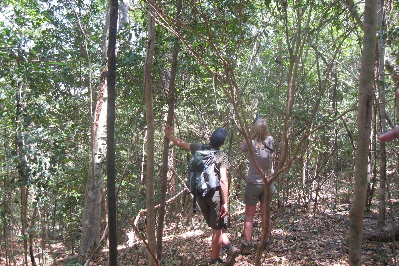 Ankarana Est wildlife and tsingy 4