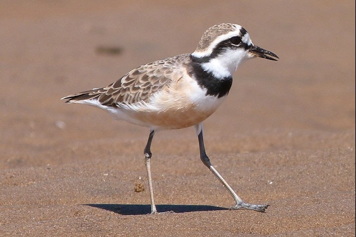 Guided visit to Lac Tsimanampetsotsa National Park 2