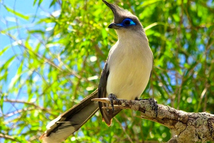 Guided visit to Lac Tsimanampetsotsa National Park 3
