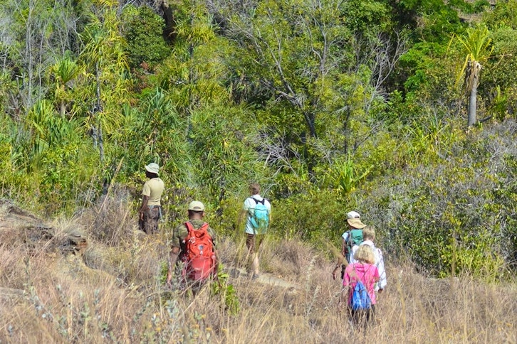 Isalo guided wildlife hike 2