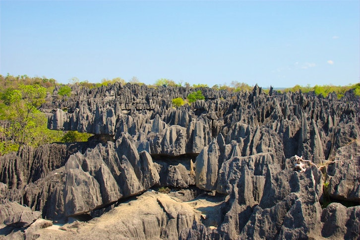 Guided Petite Tsingy and Manambolo River boat excursion 1
