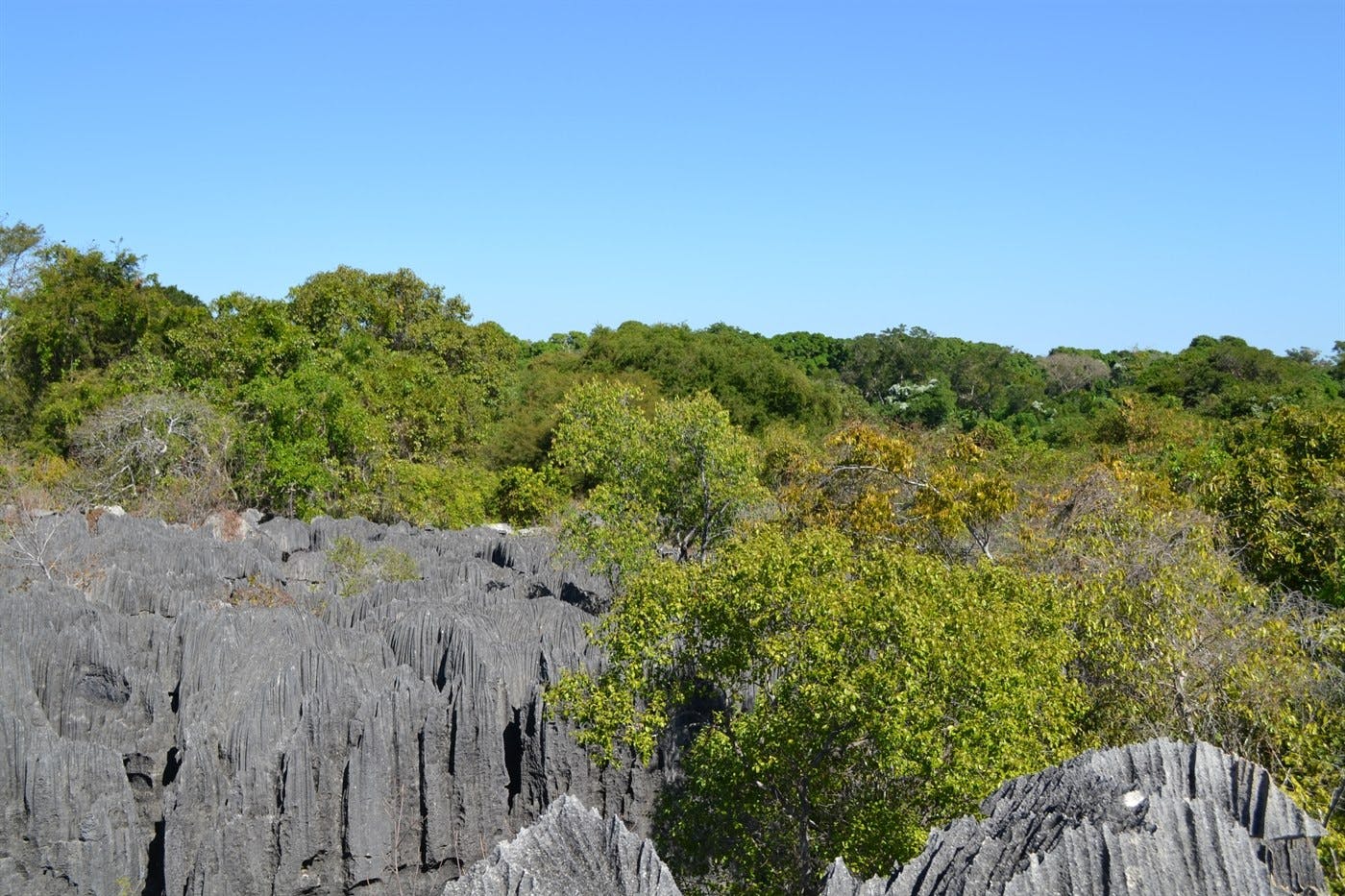 Guided Petite Tsingy and Manambolo River boat excursion 4