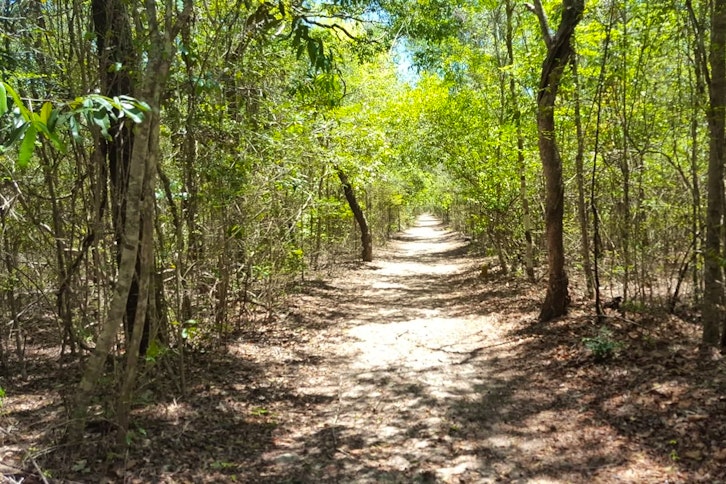 Ankarafantsika guided wildlife walk 5