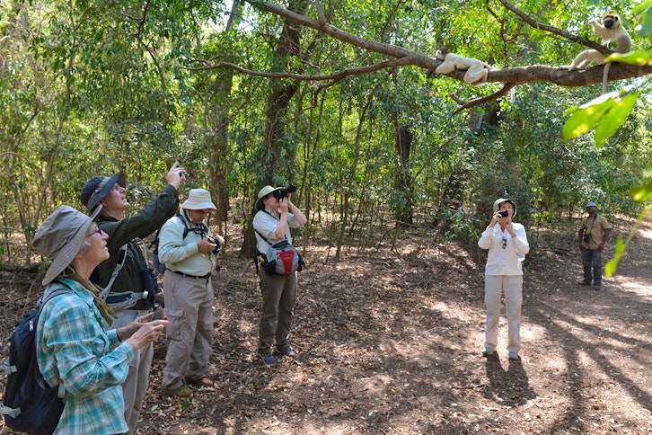 Berenty Private Reserve guided walks 1