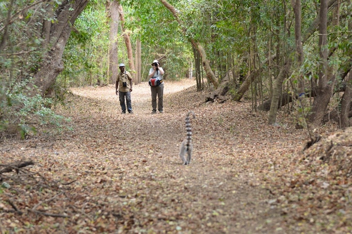 Berenty Private Reserve guided walks 2