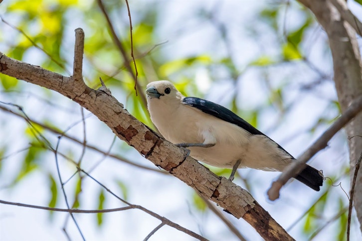 Berenty Private Reserve guided walks 4