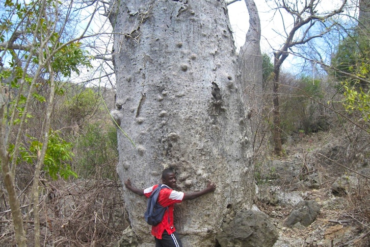 Montagne des Francais Baobab trail 1