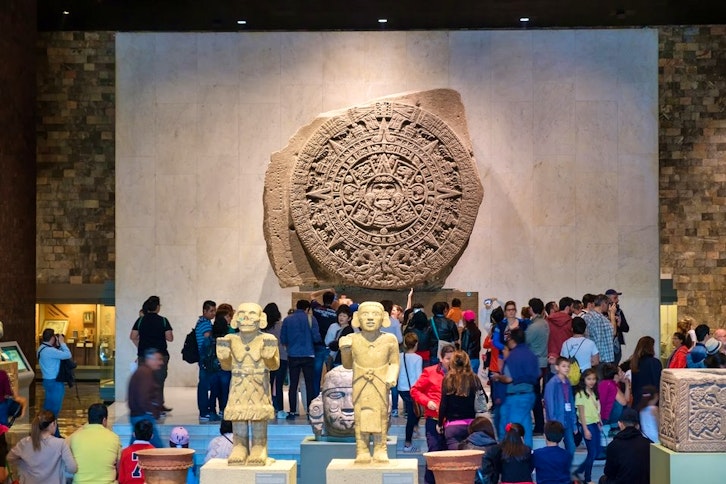Xochimilco Floating Gardens 4