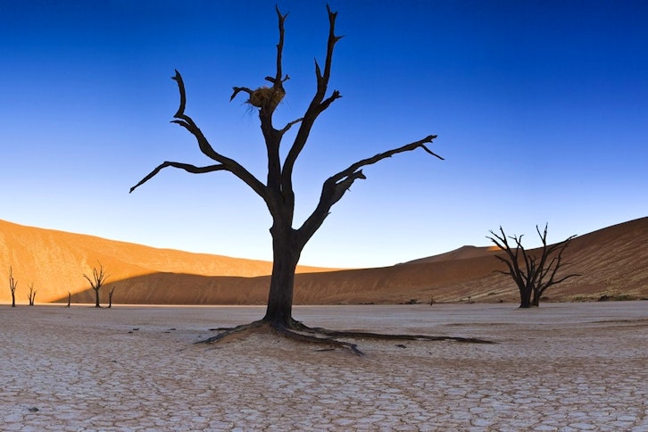 Sossusvlei and Deadvlei 2