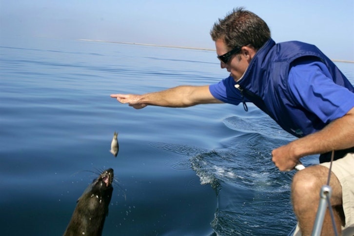 Walvis Bay boat trip 1