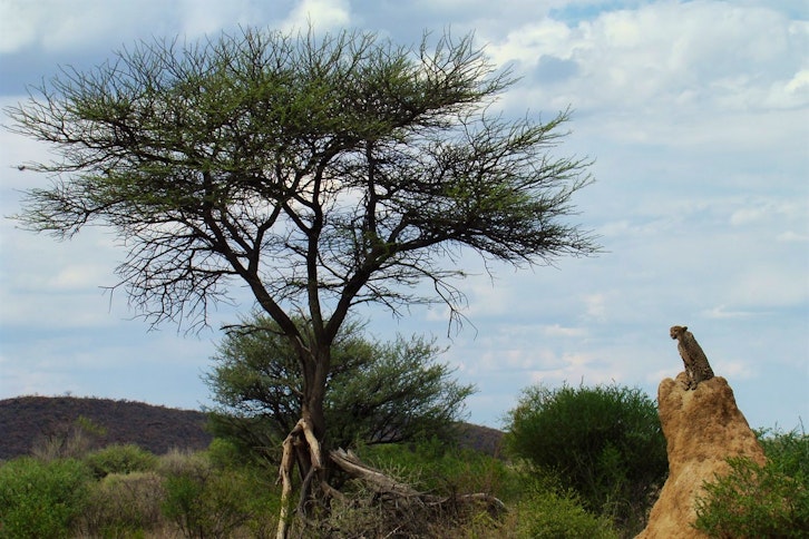 Okonjima Carnivore search on foot 3