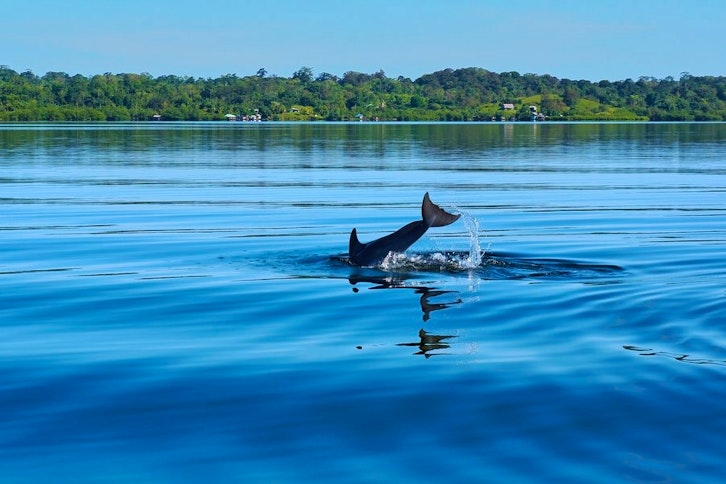 Dolphin Bay, Coral Cay and Zapatilla Cays 1