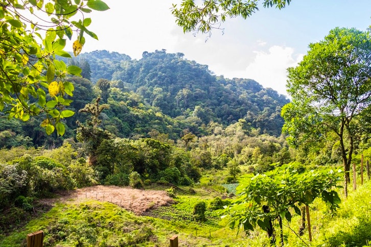 Birdwatching in Boquete 2