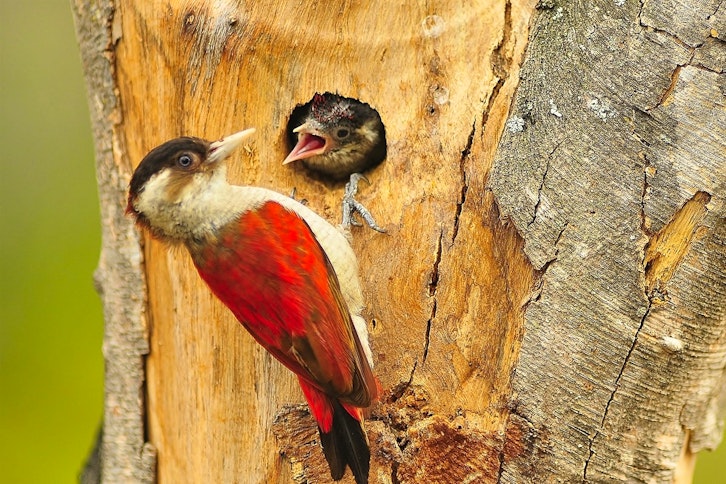 Chaparri Reserve at Chaparri Eco Lodge 5