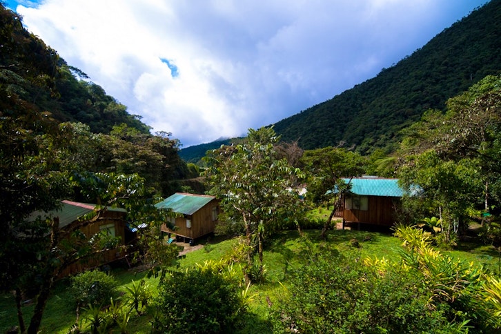 Biotrip to Manu – from the Andes to the Amazon Basin 2