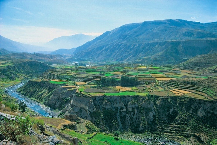 Colca Canyon 3