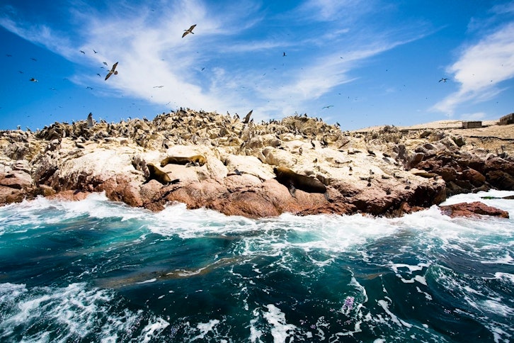 Ballestas Islands 1